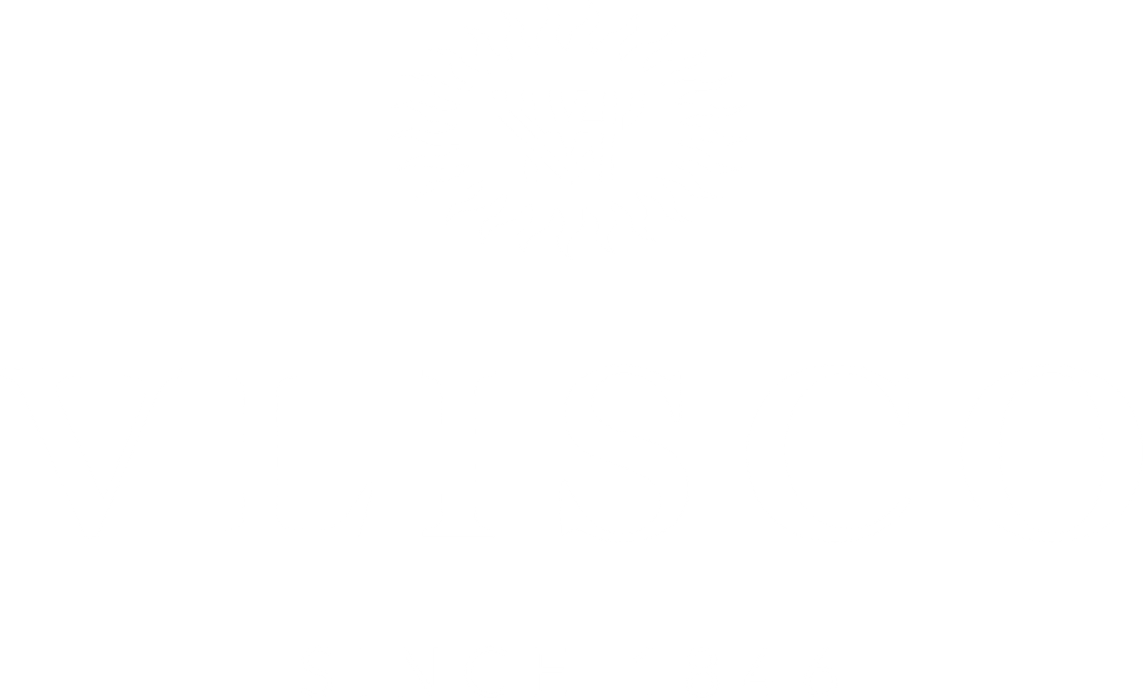 Vlisco